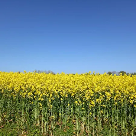 2-zimmer In An Der Ostsee Gelting